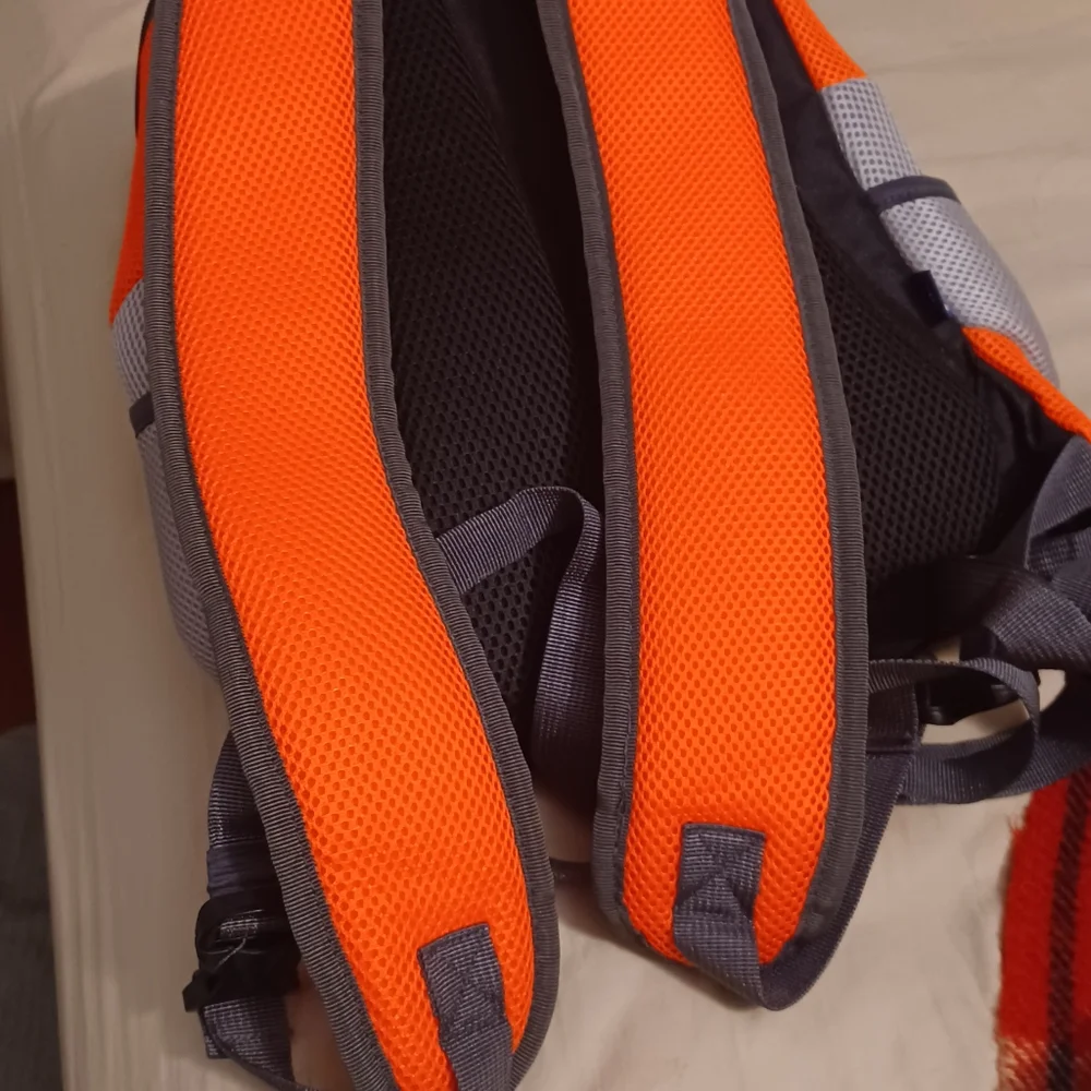 Dog carrier backpack